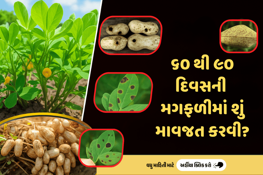 agribond