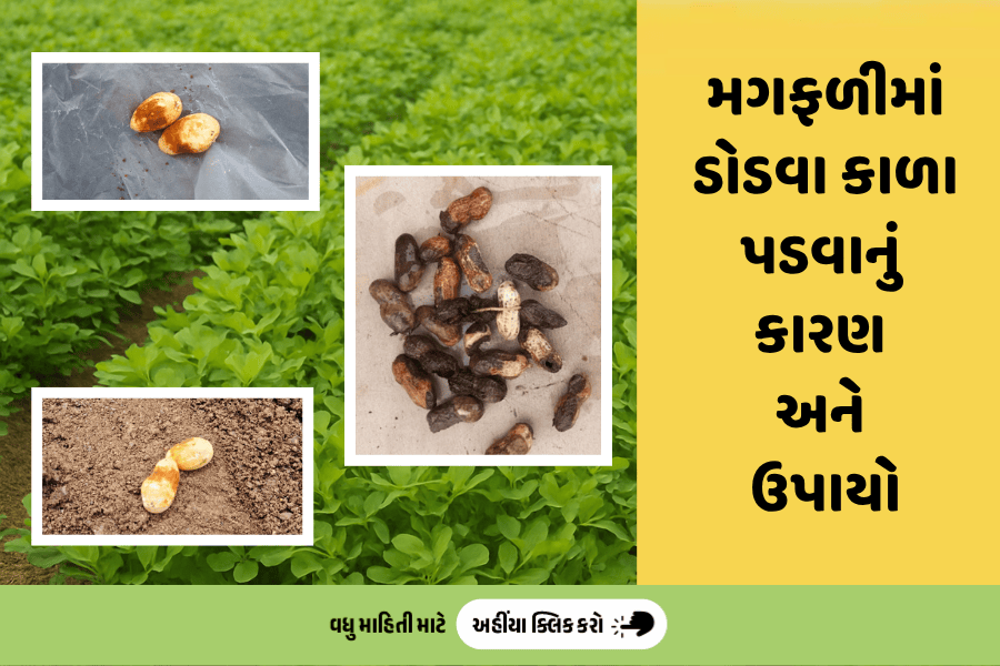 agribond