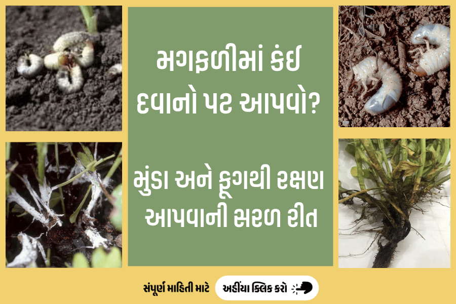 agribond