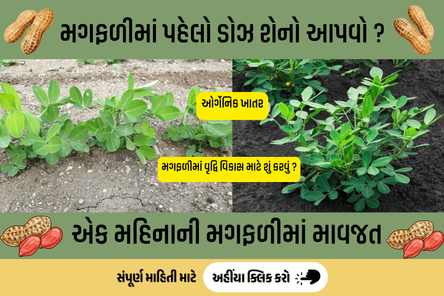 agribond