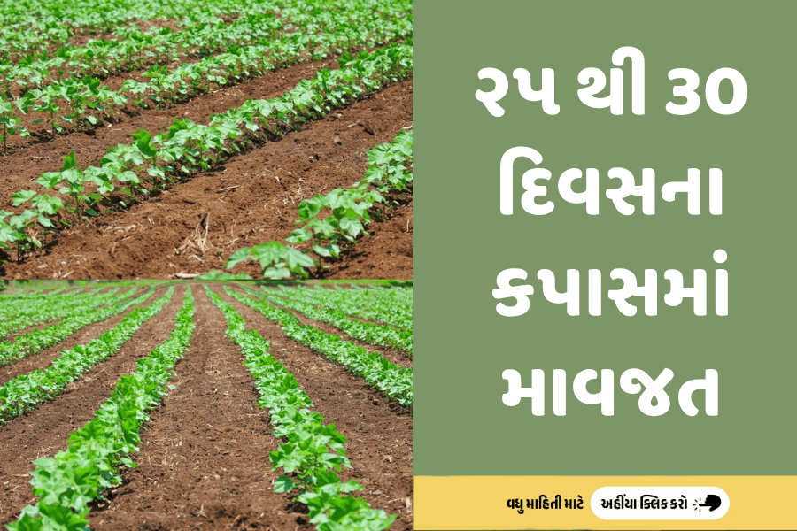 agribond