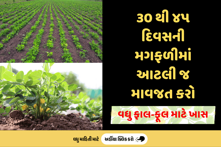 agribond