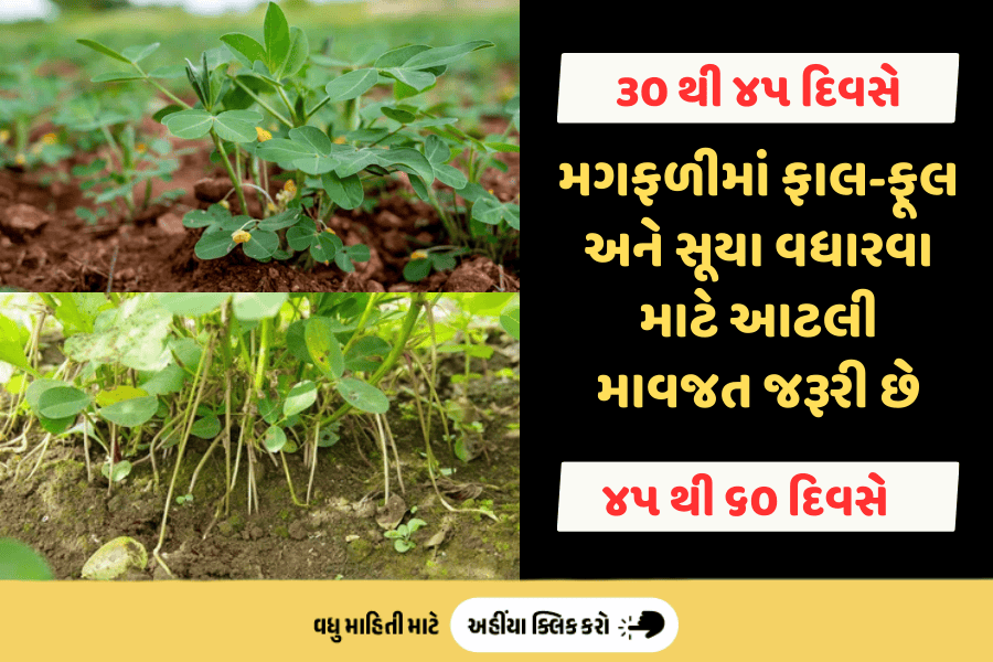 agribond