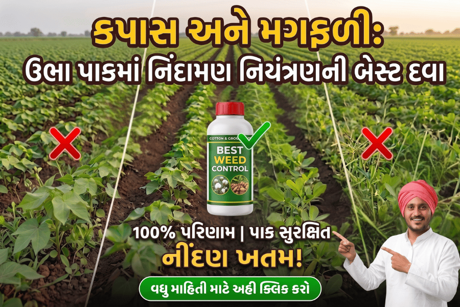 agribond