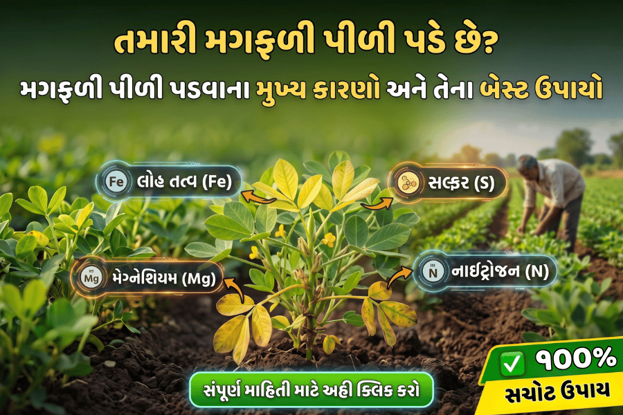 agribond