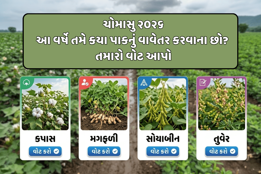 ચોમાસુ ૨૦૨૬: આ વર્ષે તમે કયા પાકનું વાવેતર કરશો? તમારો વોટ આપો