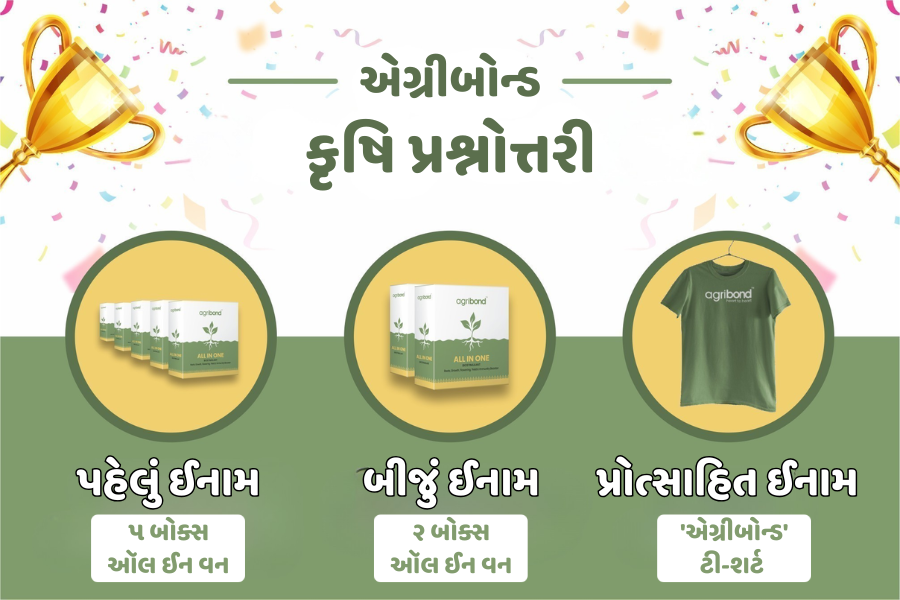 એગ્રીબોન્ડ ક્વિઝ: જૂન મહિનાના વિજેતાઓ જાહેર