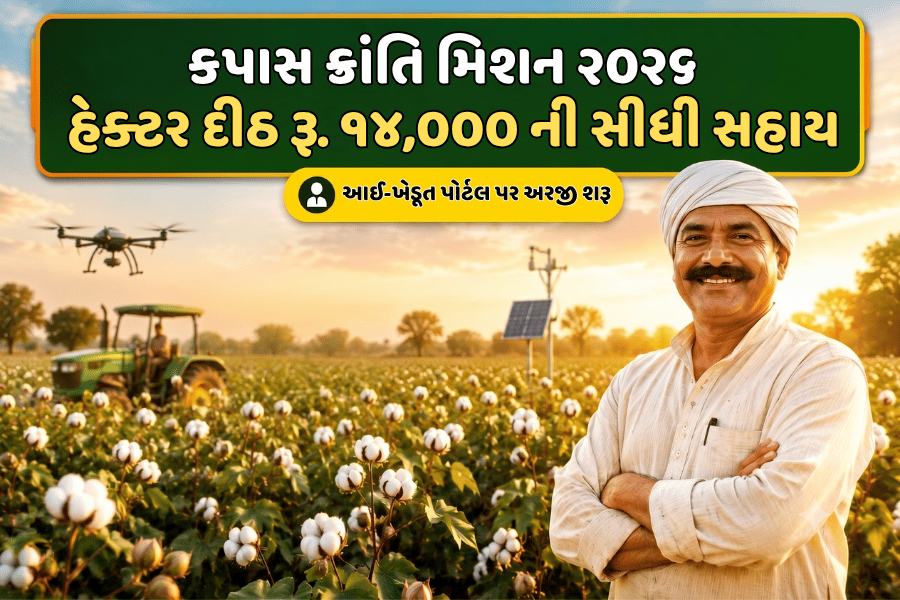 કપાસ ક્રાંતિ મિશન ૨૦૨૬: હેક્ટર દીઠ રૂ. ૧૪,૦૦૦ ની સીધી સહાય, જાણો અરજી પ્રક્રિયા અને વાવેતર નિયમો