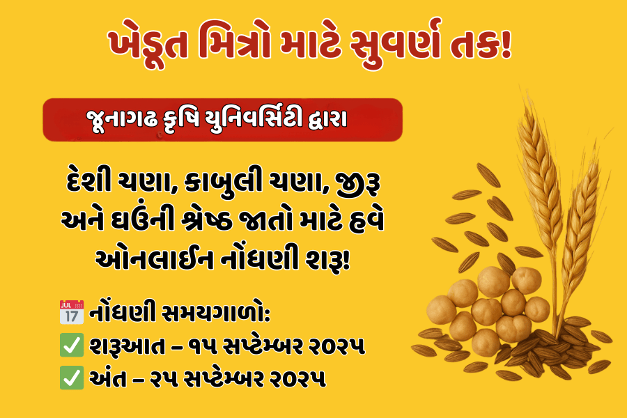 જૂનાગઢ કૃષિ યુનિવર્સિટી દ્વારા ચણા, જીરૂ અને ઘઉંના બિયારણ માટે ઓનલાઈન નોંધણી શરૂ – ખેડૂત મિત્રો માટે સોનેરી તક!