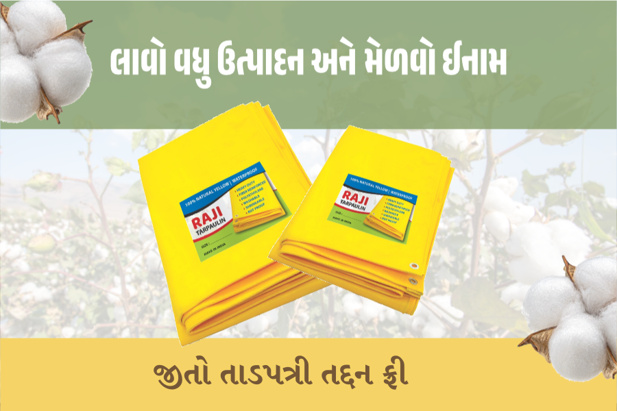 લાવો વધુ ઉત્પાદન અને મેળવો ઈનામ