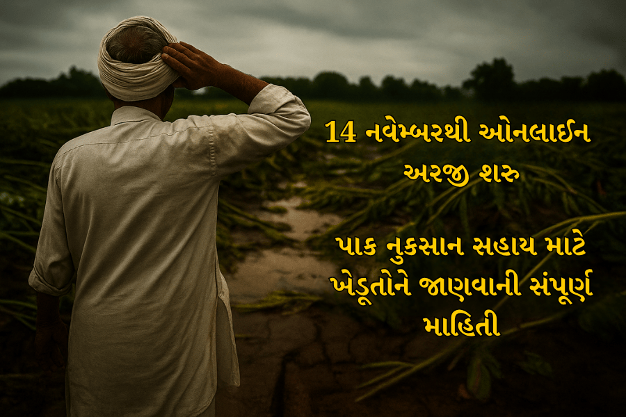 14 નવેમ્બરથી પાક નુકસાન સહાયની ઓનલાઈન અરજી શરૂ: ખેડૂતો માટે સંપૂર્ણ માર્ગદર્શિકા