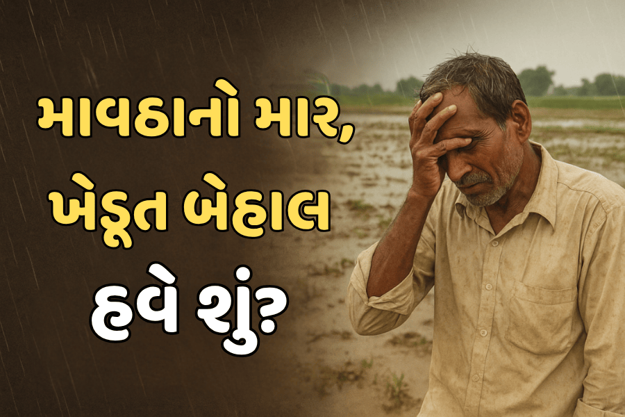 માવઠાનો માર – ખેડૂત બેહાલ! પાકમાં ભારે નુકસાન, હવે શું કરવું?