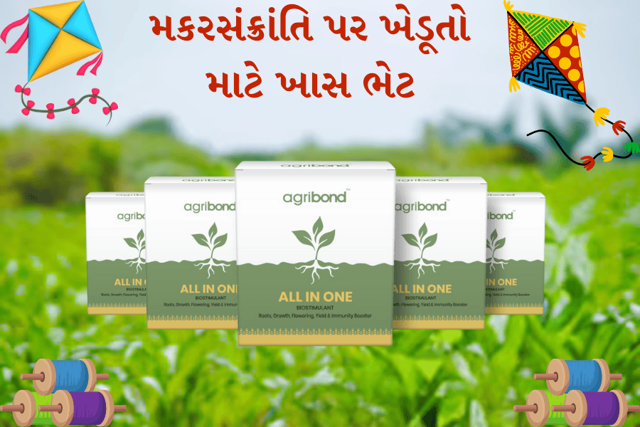 મકરસંક્રાંતિ પર ખેડૂતો માટે ખાસ ભેટ