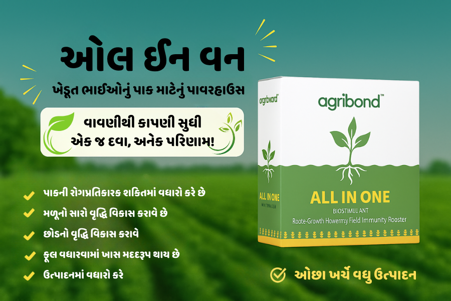 "All in One - ઓલ ઈન વન" – ખેડૂત ભાઈઓનું પાક માટેનું પાવરહાઉસ!
