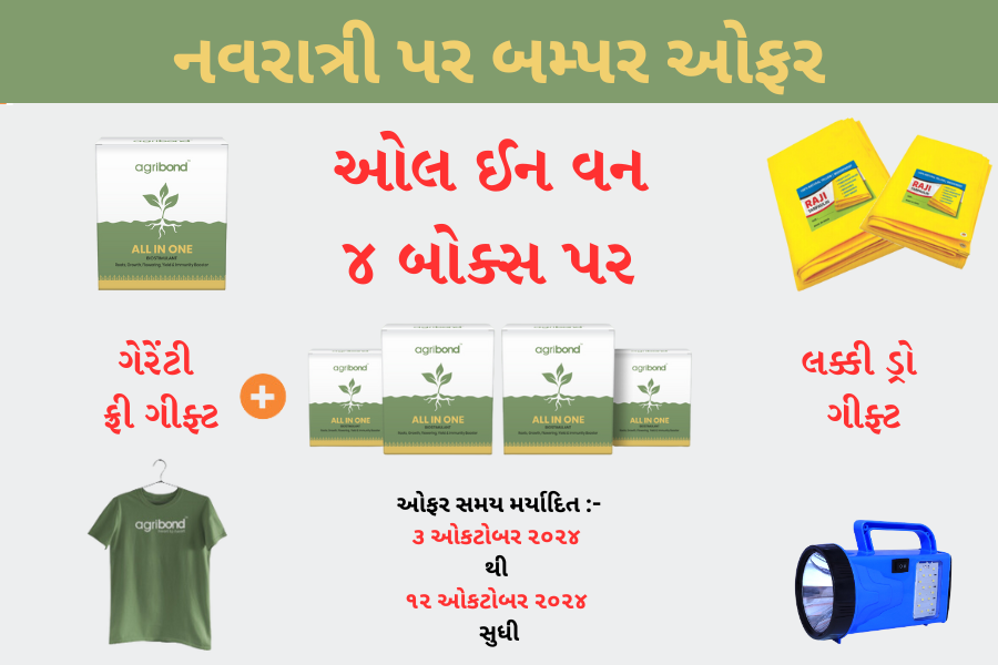 આ નવરાત્રી ખેડૂતો માટે છે કંઈક ખાસ