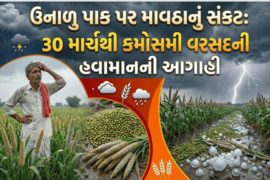ઉનાળુ પાક પર માવઠાનું સંકટ: 30 માર્ચથી કમોસમી વરસાદની IMD ની આગાહી