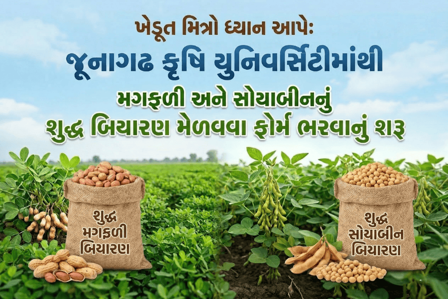 ખેડૂત મિત્રો ધ્યાન આપે: જૂનાગઢ કૃષિ યુનિવર્સિટીમાંથી મગફળી અને સોયાબીનનું શુદ્ધ બિયારણ મેળવવા ફોર્મ ભરવાનું શરૂ