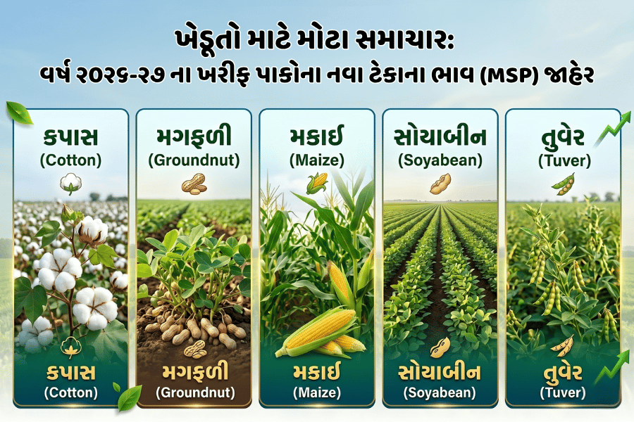 ખેડૂતો માટે સમાચાર: વર્ષ 2026-27 ના ખરીફ પાકોના નવા ટેકાના ભાવ (MSP) જાહેર