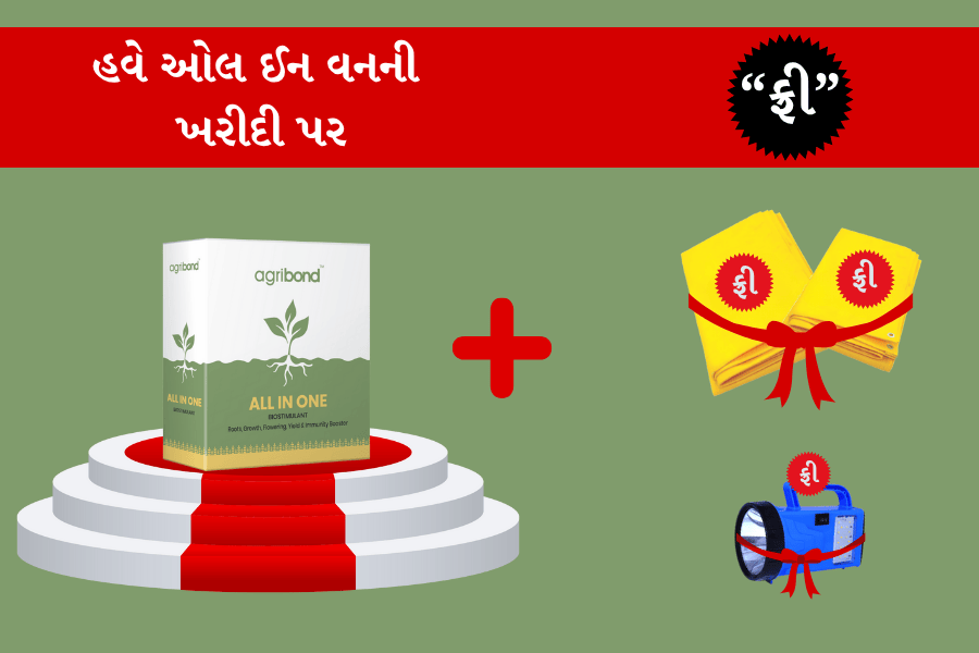 ઓલ ઈન વનની ખરીદી પર “તાડપત્રી” અને “ટોર્ચ” ફ્રી