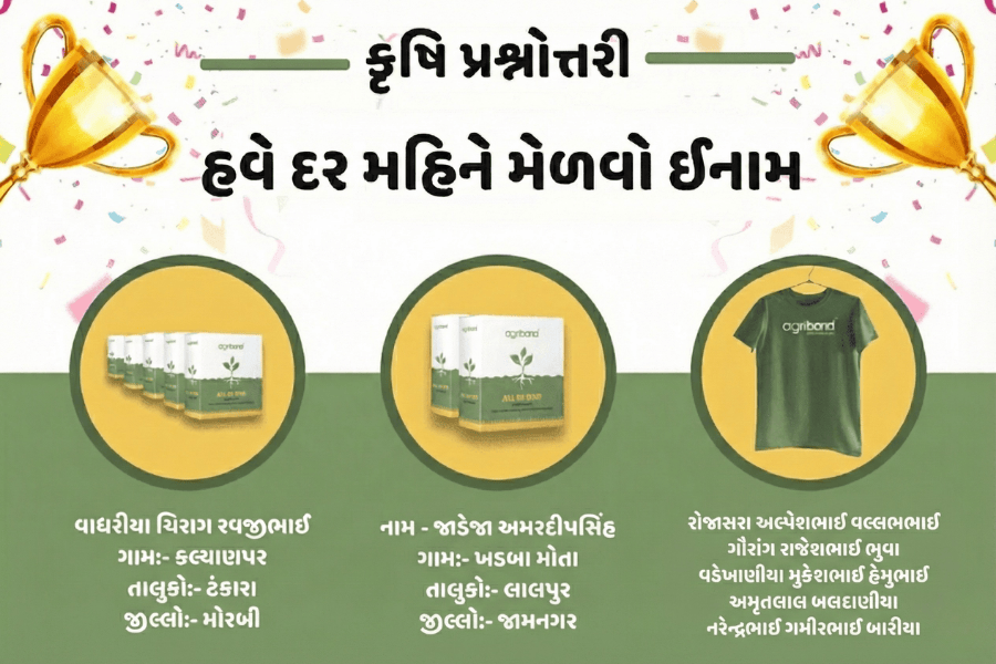 એગ્રીબોન્ડ ક્વિઝ પરિણામ: નવેમ્બર ૨૦૨૫ વિજેતાઓ અને ડિસેમ્બર સ્પર્ધા | જીતો ઈનામો