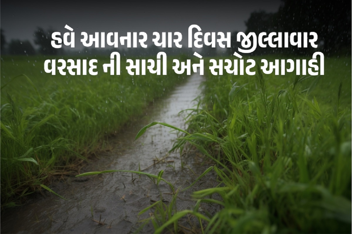 હવે આવનાર ચાર દિવસ ગુજરાતના તમામ જીલ્લા ની વરસાદની સાચી અને સચોટ આગાહી