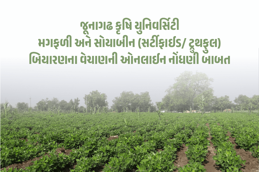 જૂનાગઢ કૃષિ યુનિવર્સિટી દ્વારા મગફળી અને સોયાબીન (સર્ટીફાઈડ/ ટ્રુથફુલ) બિયારણના વેચાણની ઓનલાઈન નોંધણી બાબત