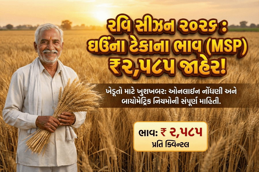 ગુજરાતમાં ઘઉંના ટેકાના ભાવ (MSP) જાહેર: ₹2,585 ભાવ, રજીસ્ટ્રેશન તારીખ અને સંપૂર્ણ માહિતી