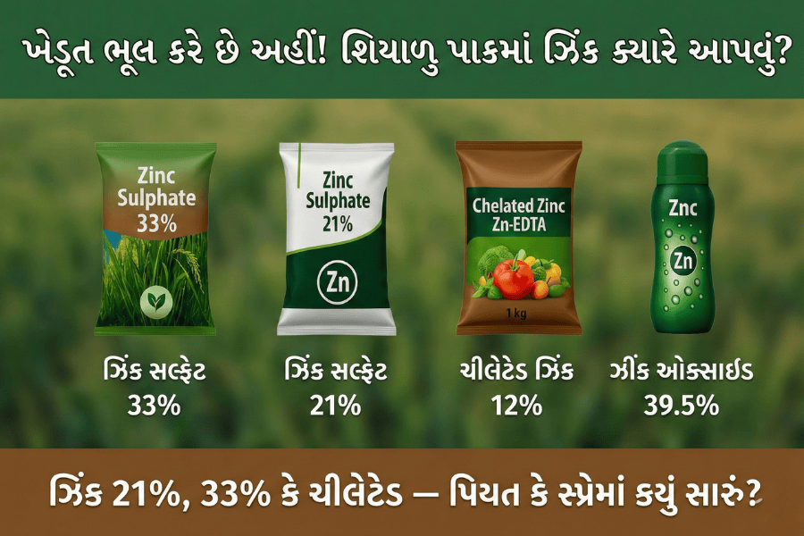 ખેતીમાં ઝિંકનો ઉપયોગ: ઝિંક ક્યારે અને કેટલું આપવું? પિયત કે સ્પ્રેમાં કયું સારું? | ઝિંક 21% vs 33% vs ચિલેટેડ