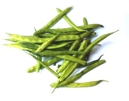 ગમ ગુવાર