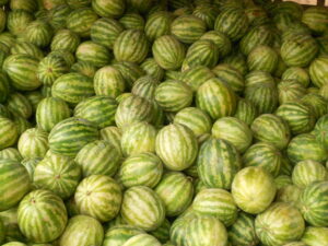 કરિંગડા