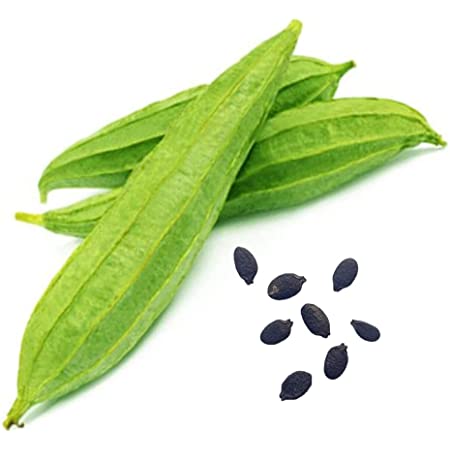 તૂરિયાં