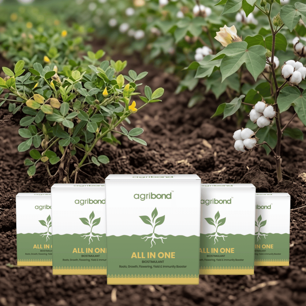 એગ્રીબોન્ડ ઓલ ઈન વન (૫૦૦ ગ્રામ - ૫ એકર) | Agribond All In One (500 gm)