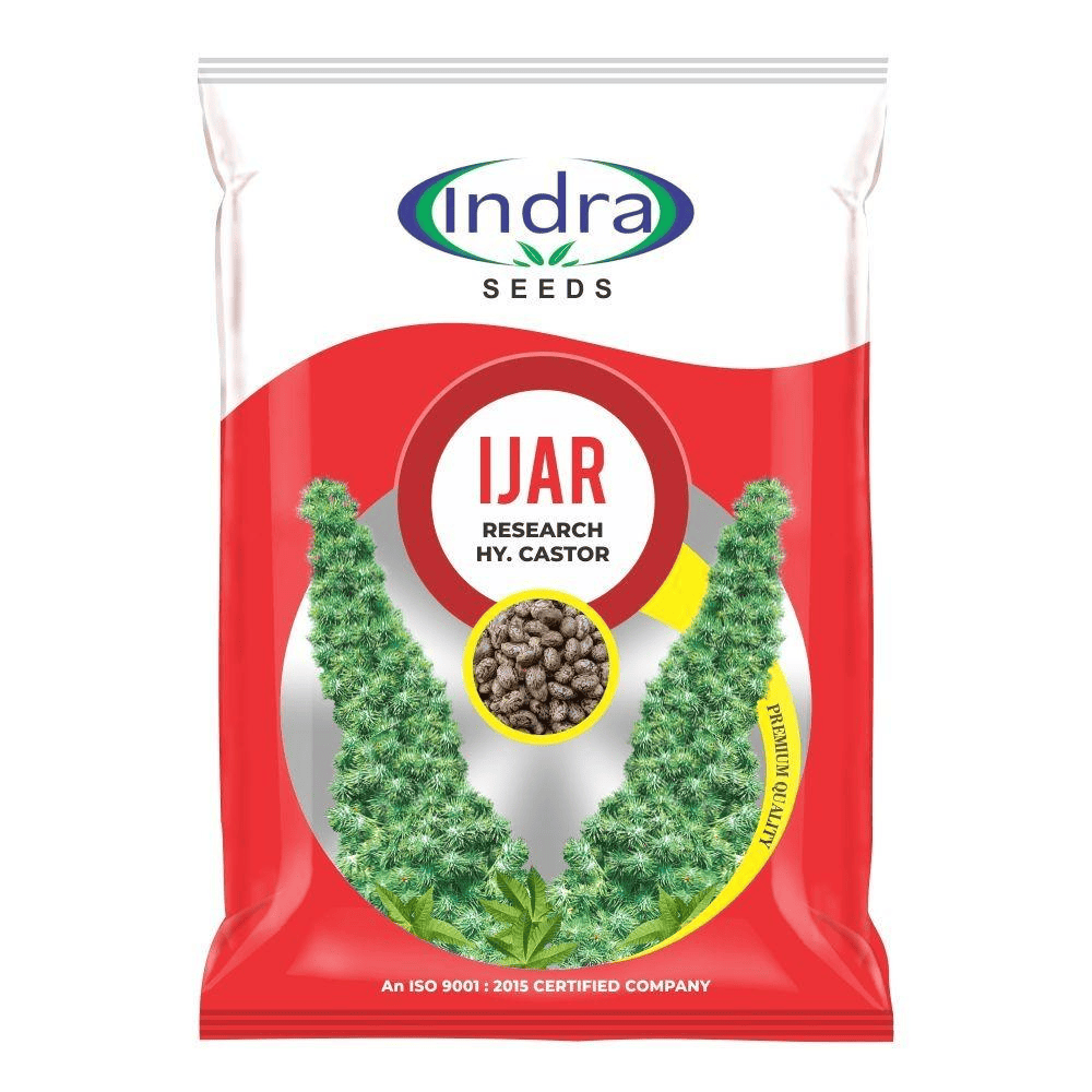 આઈઝર રિસર્ચ હાઈબ્રીડ દિવેલા