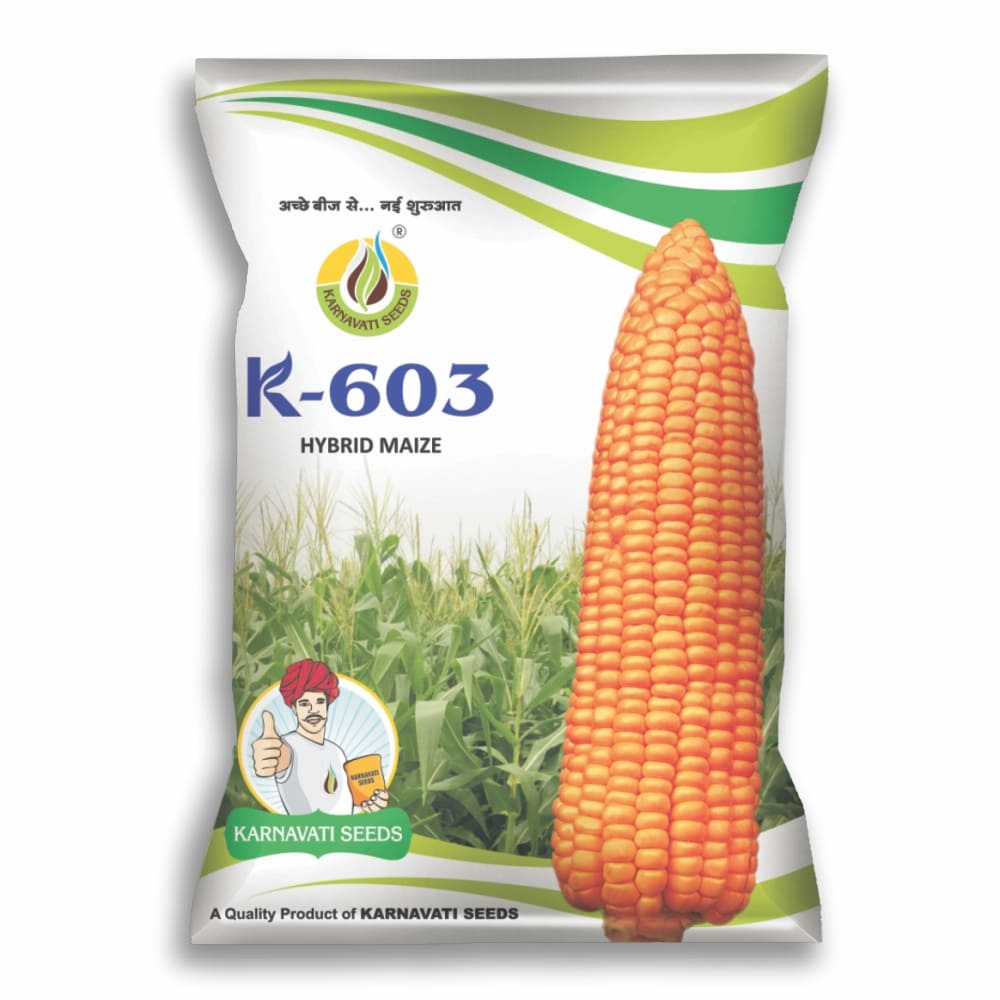 કર્ણાવતી કે 603 - પીળી હાઇબ્રિડ મકાઇ