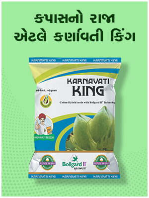 સેમ્પલ પ્રોડક્ટ