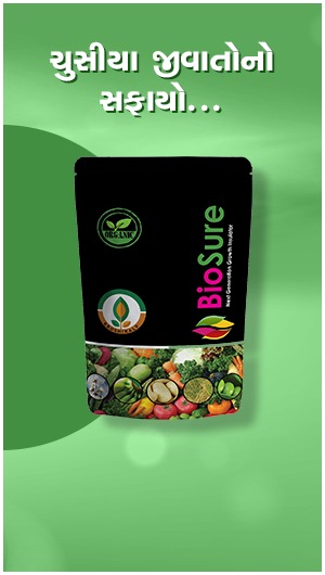 સેમ્પલ પ્રોડક્ટ