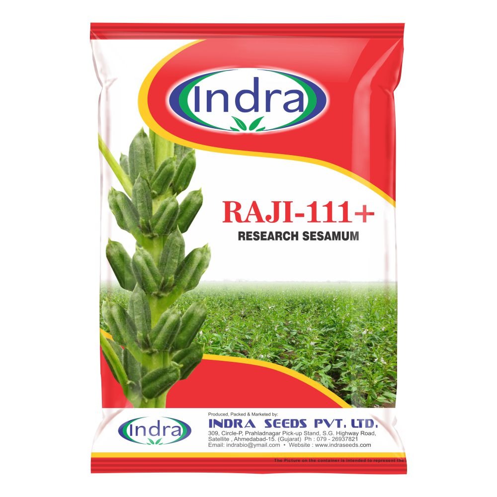 રાજી ૧૧૧+ રિસર્ચ તલ (૫૦૦ ગ્રામ)