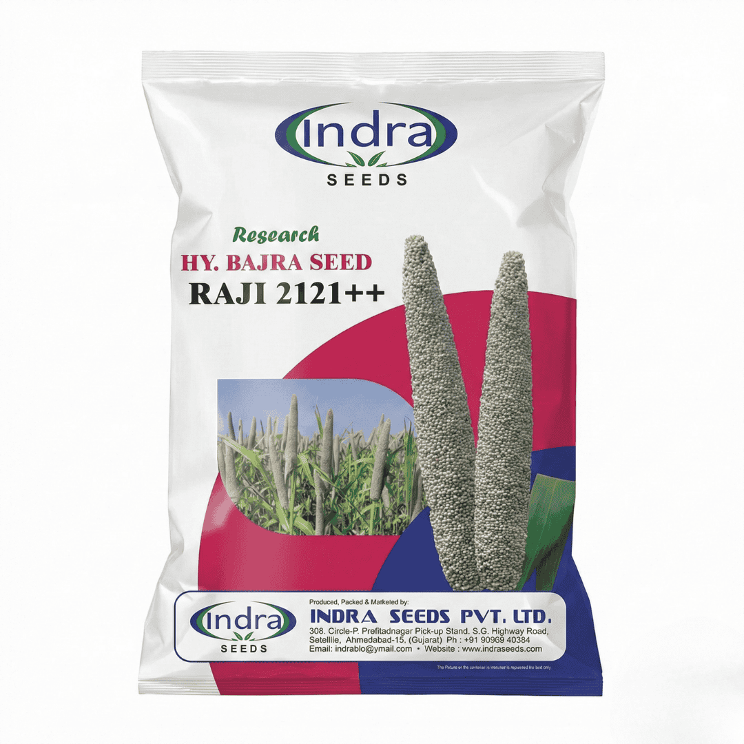 રાજી રાજી-૨૧૨૧++ રિસર્ચ હાઈબ્રીડ બાજરા (૧.૫ કિગ્રા)