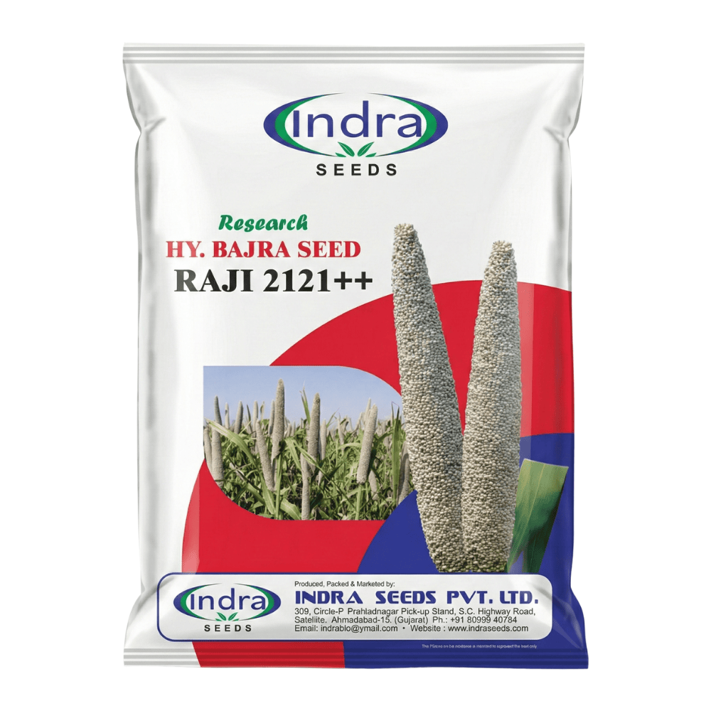 રાજી-૨૧૨૧++ રિસર્ચ હાઈબ્રીડ બાજરા (૧.૫ કિગ્રા)