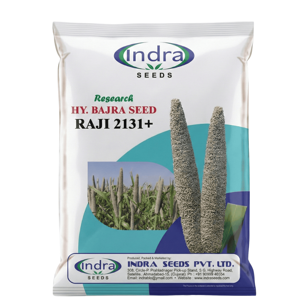 રાજી ૨૧૩૧+ રિસર્ચ હાઈબ્રીડ બાજરા (૧.૫ કિગ્રા)