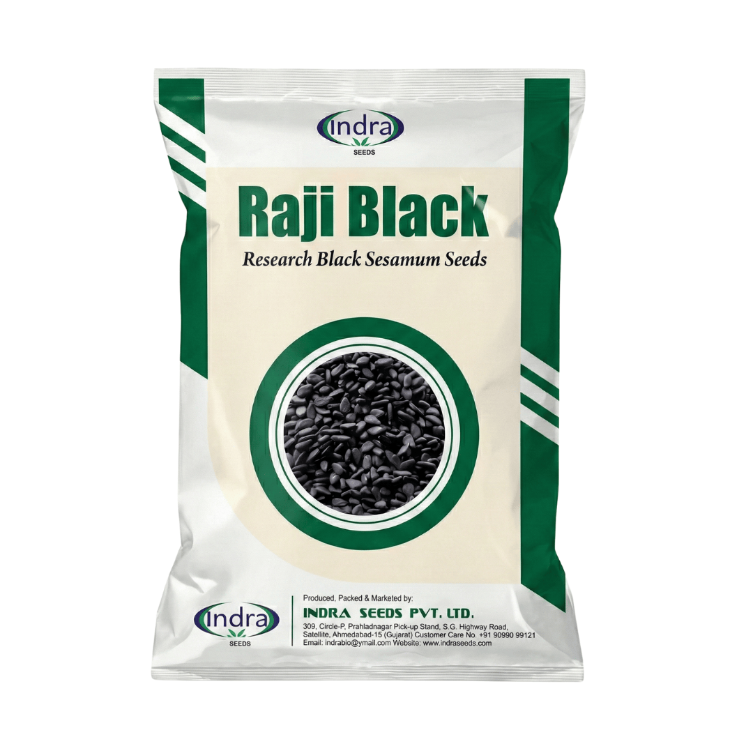 રાજી બ્લેક રિસર્ચ તલ (૫૦૦ ગ્રામ)