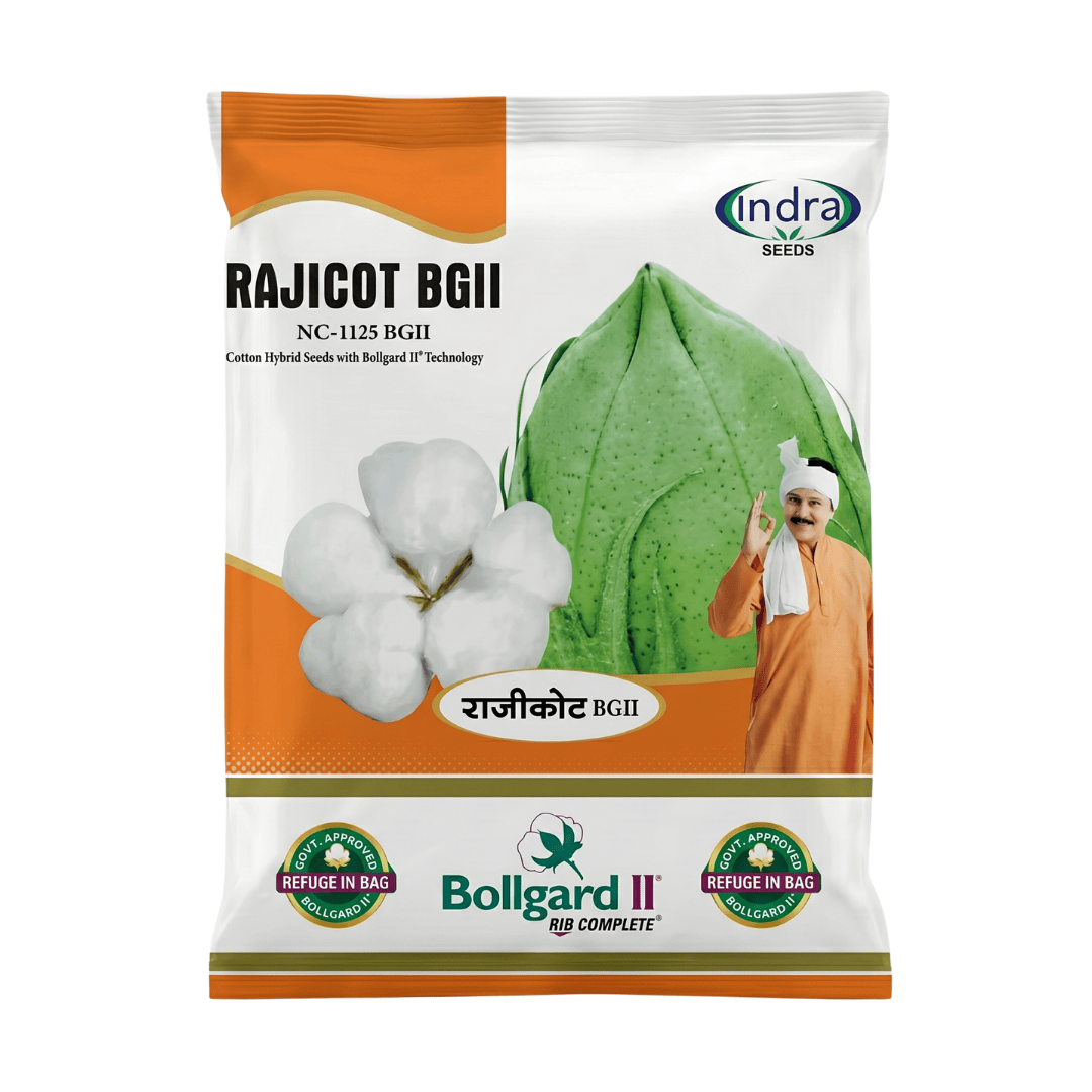 રાજીકોટ હાઈબ્રીડ કપાસ બી જી II (૪૭૫ ગ્રામ)