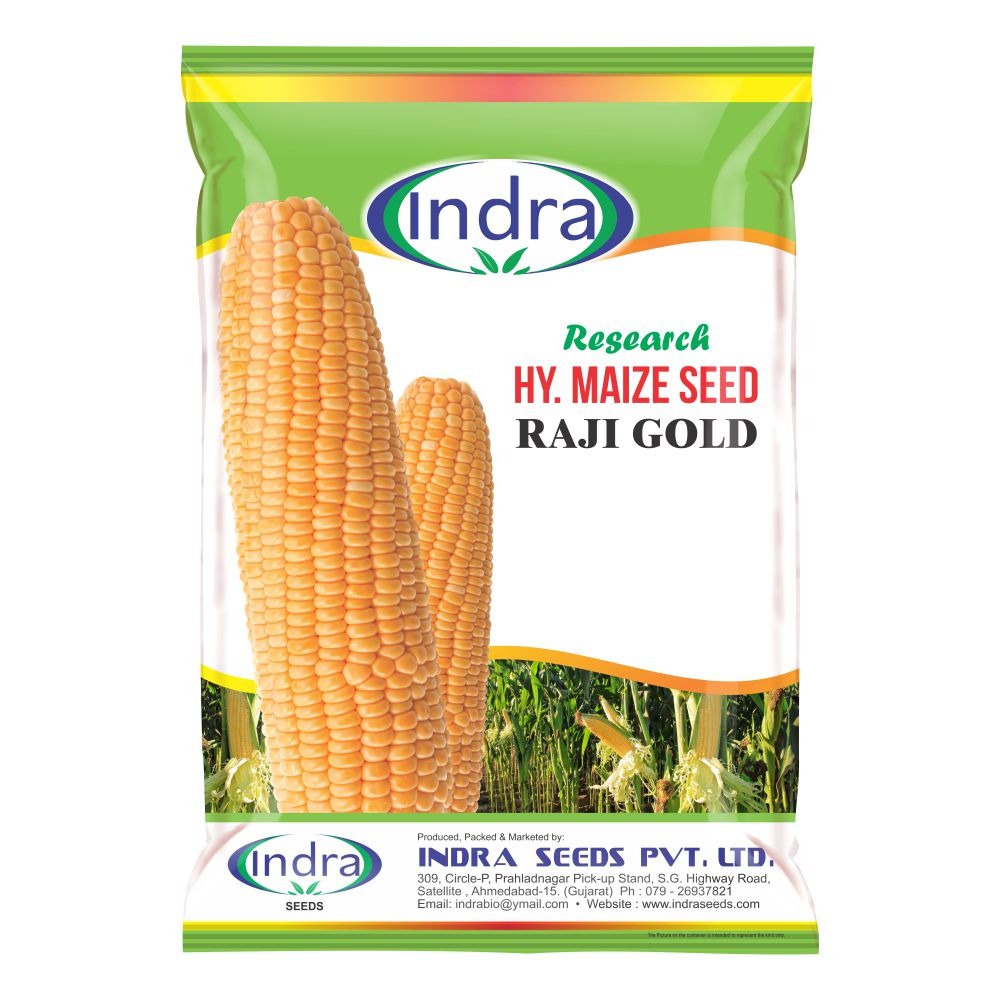 રાજી ગોલ્ડ રિસર્ચ હાઈબ્રીડ મકાઈ (૪ કિગ્રા)