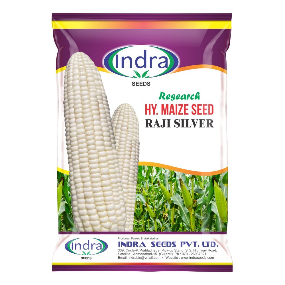 રાજી સિલ્વર રિસર્ચ હાઈબ્રીડ મકાઈ (૪ કિગ્રા)