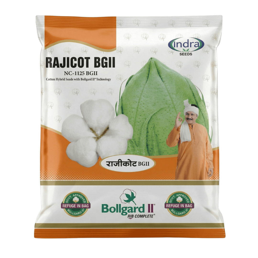 રાજીકોટ હાઈબ્રીડ કપાસ બી જી II (૪૭૫ ગ્રામ)