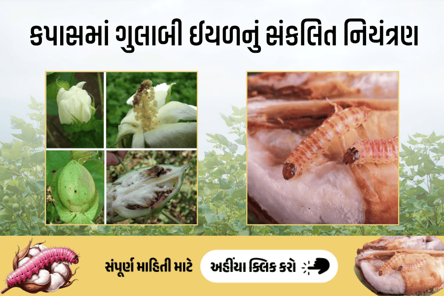 agribond